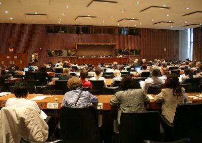 UN Konvencija o eliminaciji svih oblika diskriminacije nad ženama
