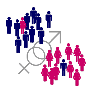 Gender action plan of BaH 2006 – 2011