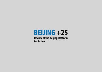 Progress report on the implementation of the Beijing Declaration and Platform for Action in BIH within the Beijing +25 process