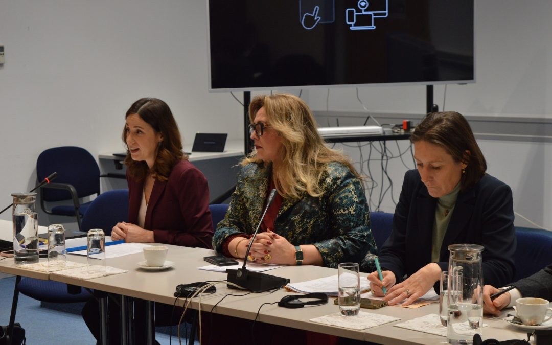 Međunarodna radna grupa za ravnopravnost spolova (IWGE) razmatrala EU Izvještaj o napretku BiH za 2025. godinu